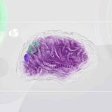 inner_image_02 https://mlrzhqnmpoyc.i.optimole.com/w:160/h:160/q:mauto/rt:fill/g:ce/f:best/https://ditserv.com/wp-content/uploads/2023/11/inner_image_02.jpg