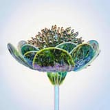 inner_image_03 https://mlrzhqnmpoyc.i.optimole.com/w:160/h:160/q:mauto/rt:fill/g:ce/f:best/https://ditserv.com/wp-content/uploads/2023/11/inner_image_03.jpg